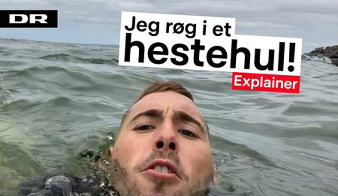 Journalist hopper i stort hestehul – se video!